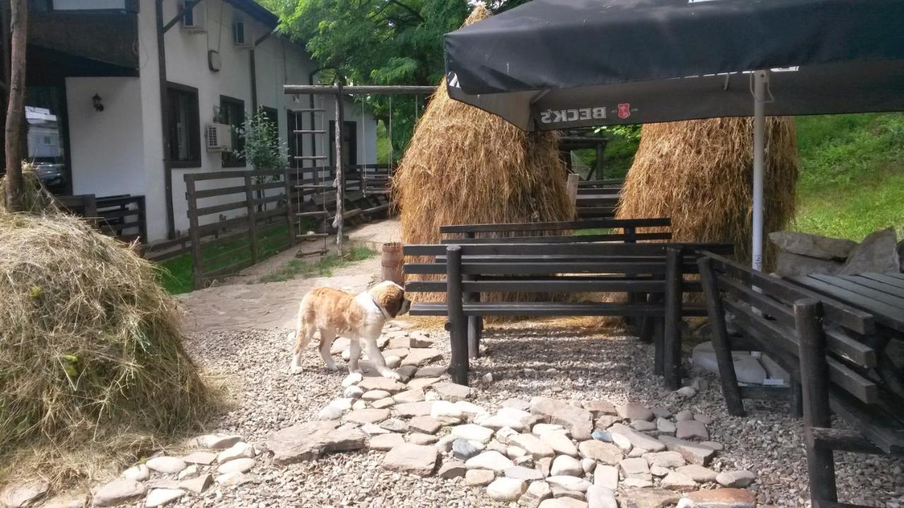 Pension Casa Drumetului Piatra Neamt Exterior photo