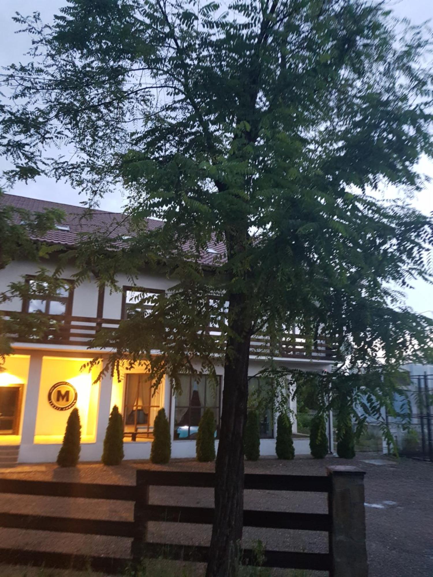 Pension Casa Drumetului Piatra Neamt Exterior photo